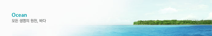 모든 생명의 원천, 바다