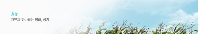 자연과 하나되는 평화, 공기