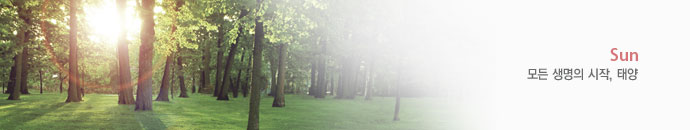 모든 생명의 시작, 태양