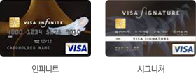 비자카드 종류